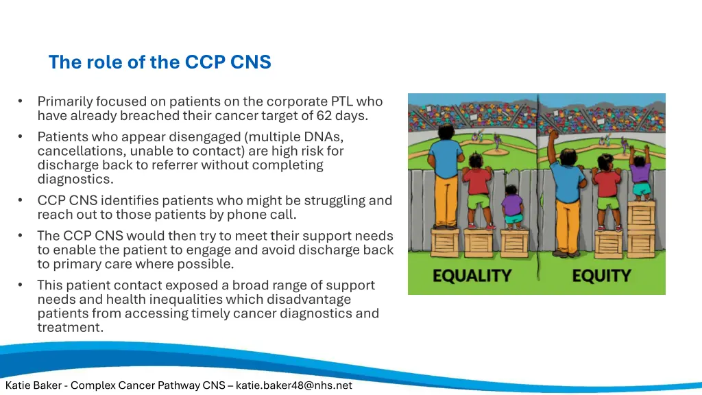 the role of the ccp cns
