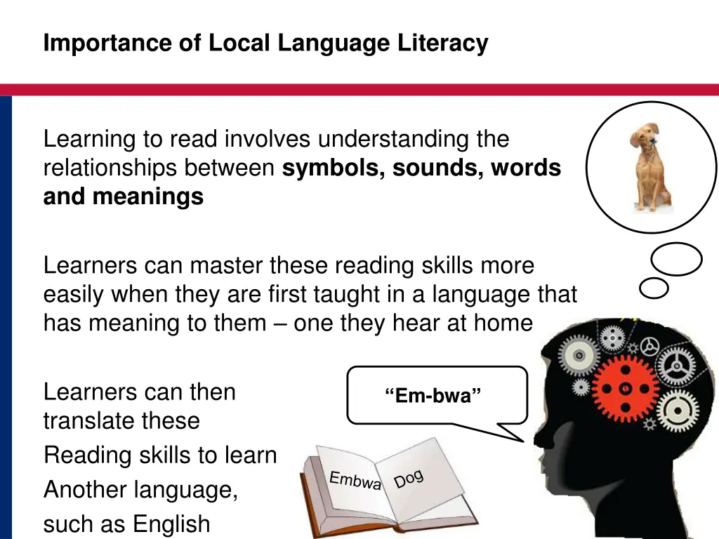 importance of local language literacy