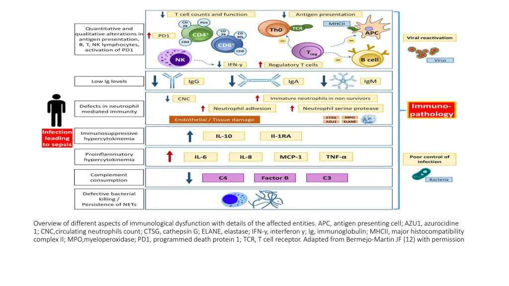 overview of different aspects of immunological