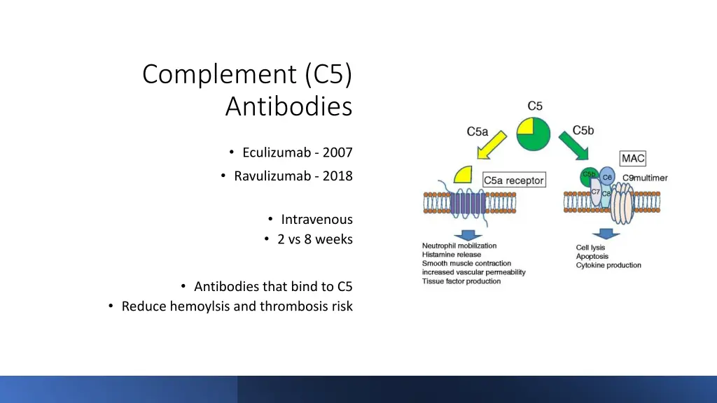 complement c5 antibodies