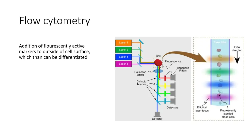 flow cytometry