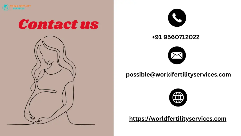 contact us