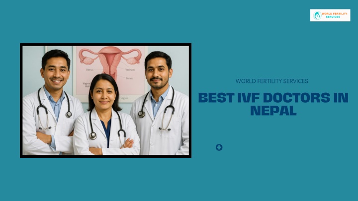 world fertility services