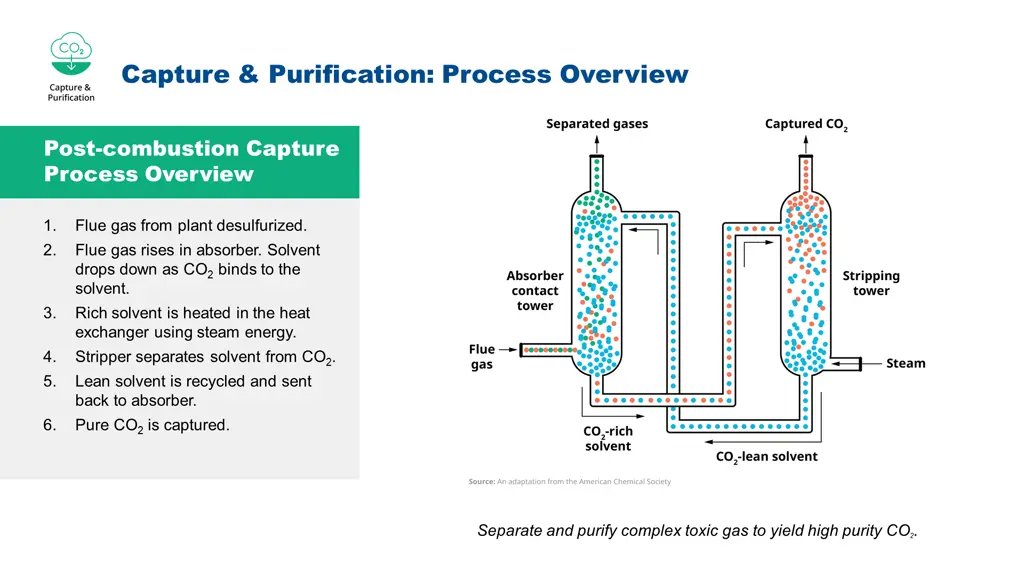 capture purification process overview