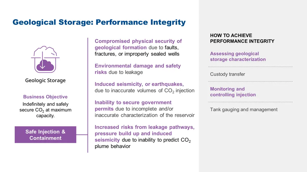 geological storage performance integrity
