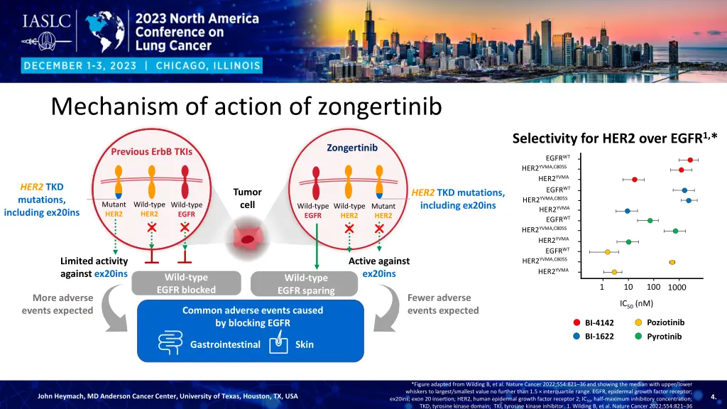 mechanism of action of zongertinib