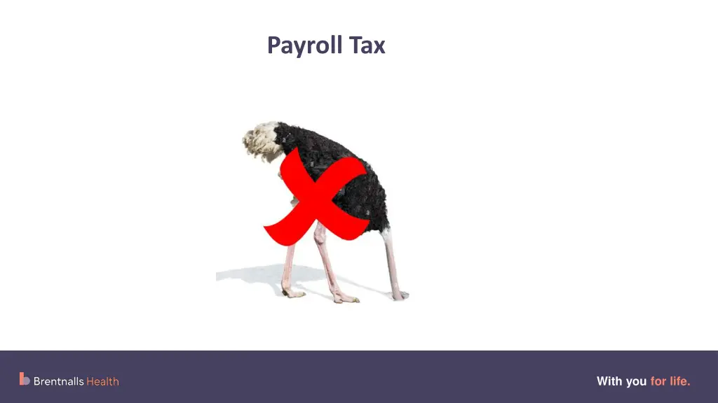 payroll tax 6