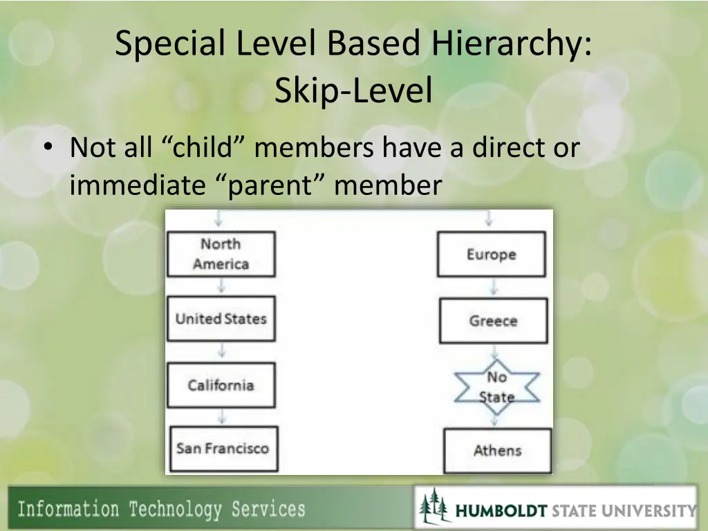 special level based hierarchy skip level