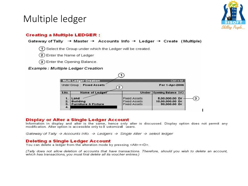 multiple ledger