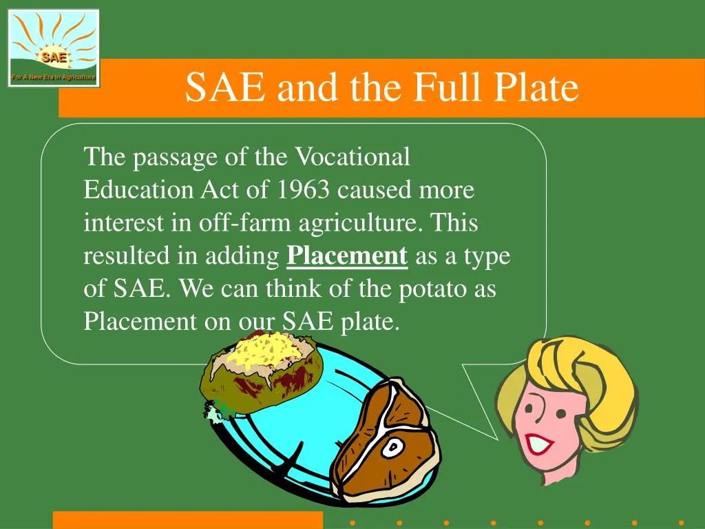 sae and the full plate 2