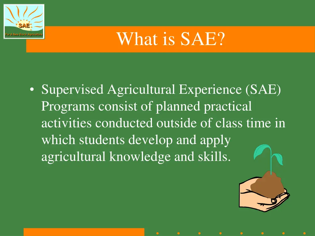 what is sae