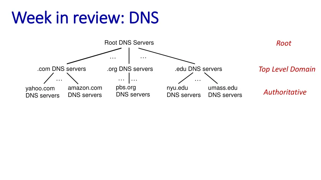 week in review dns week in review dns 1