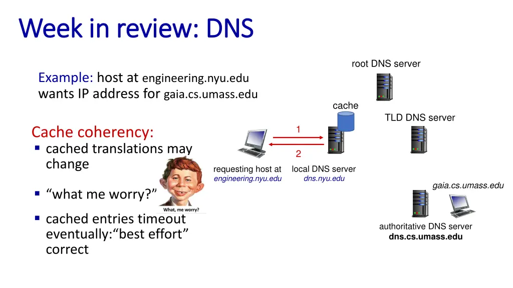 week in review dns week in review dns 3