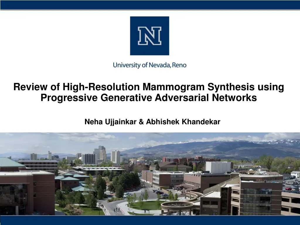 review of high resolution mammogram synthesis