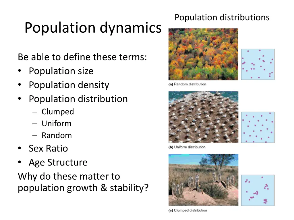 population distributions
