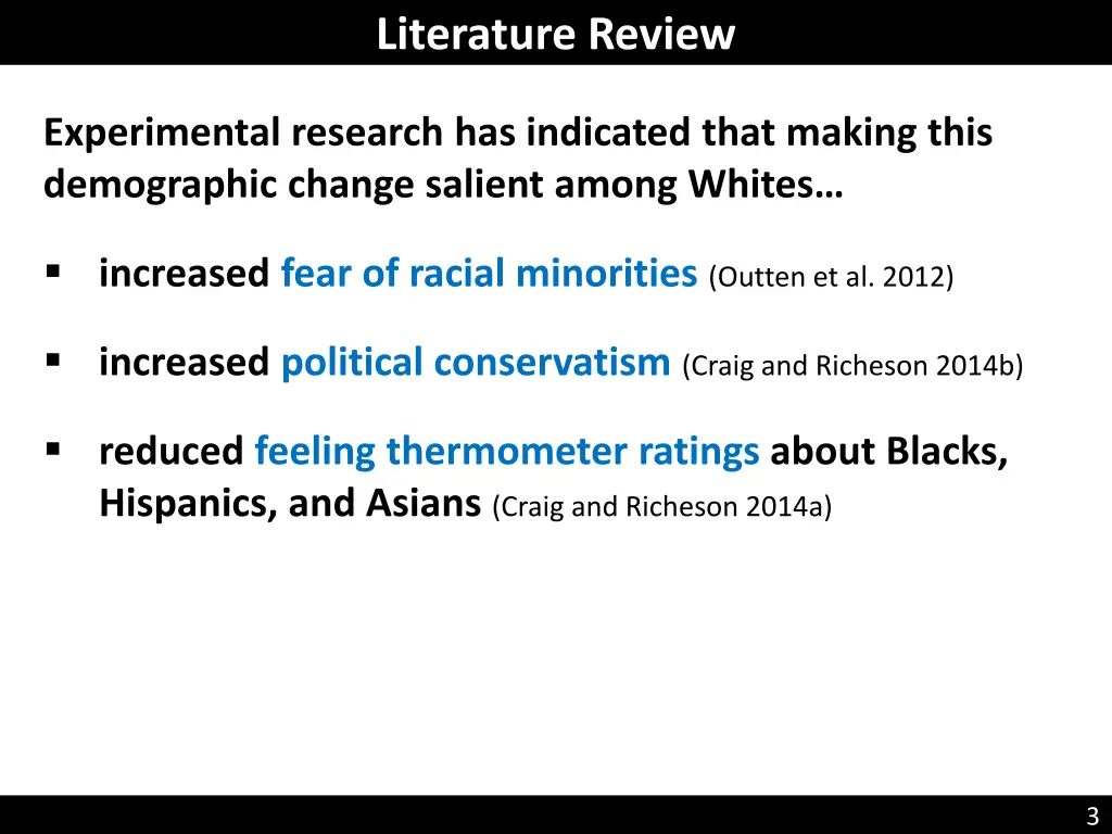 literature review