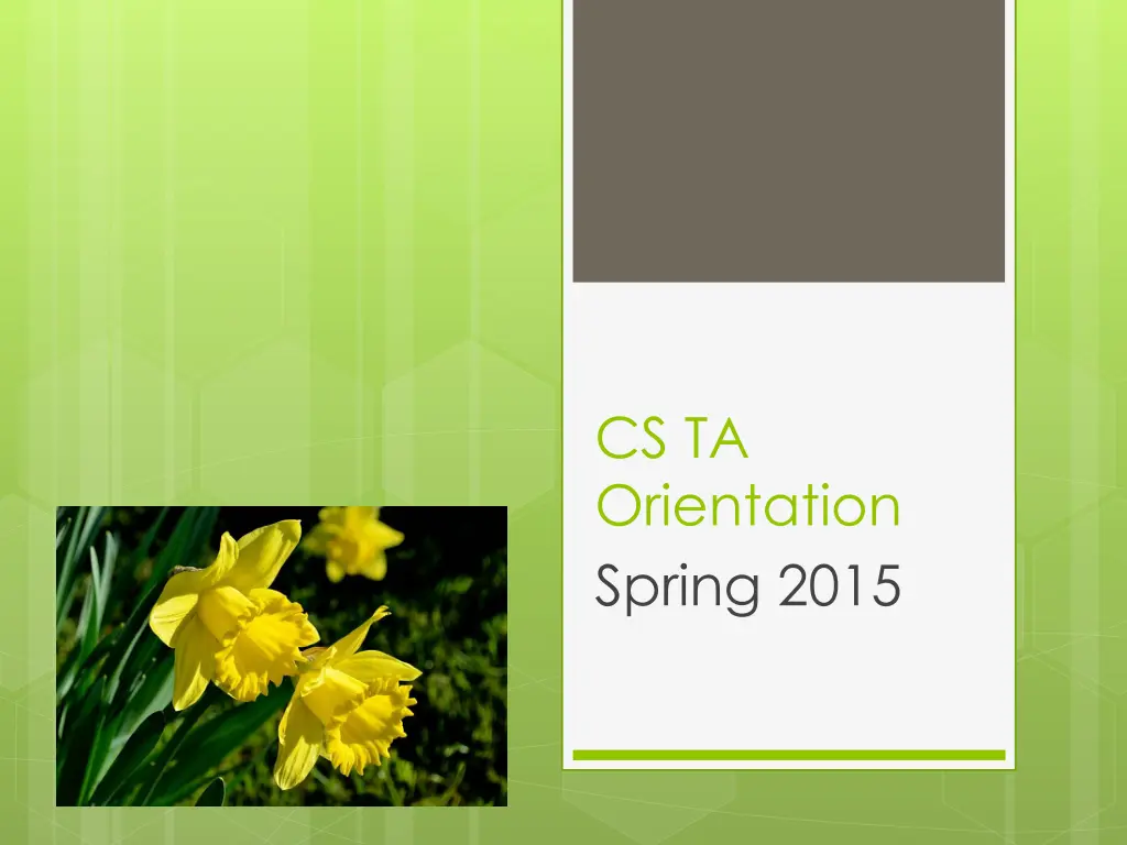 cs ta orientation spring 2015