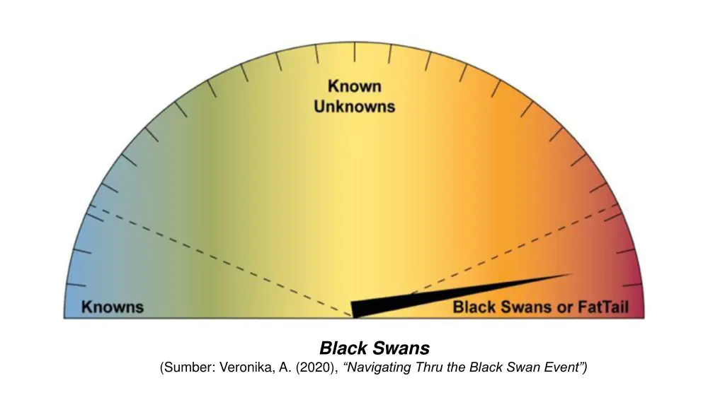 black swans