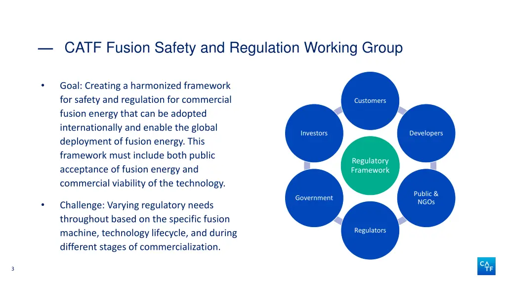 catf fusion safety and regulation working group
