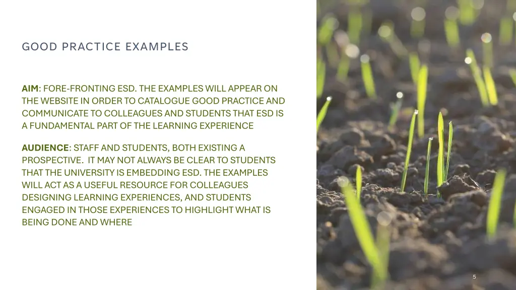 good practice examples