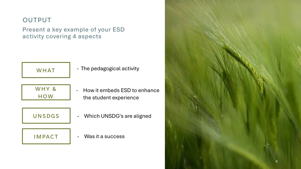 output present a key example of your esd activity