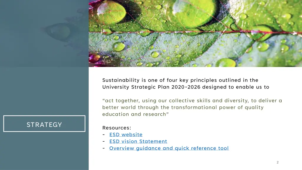 sustainability is one of four key principles