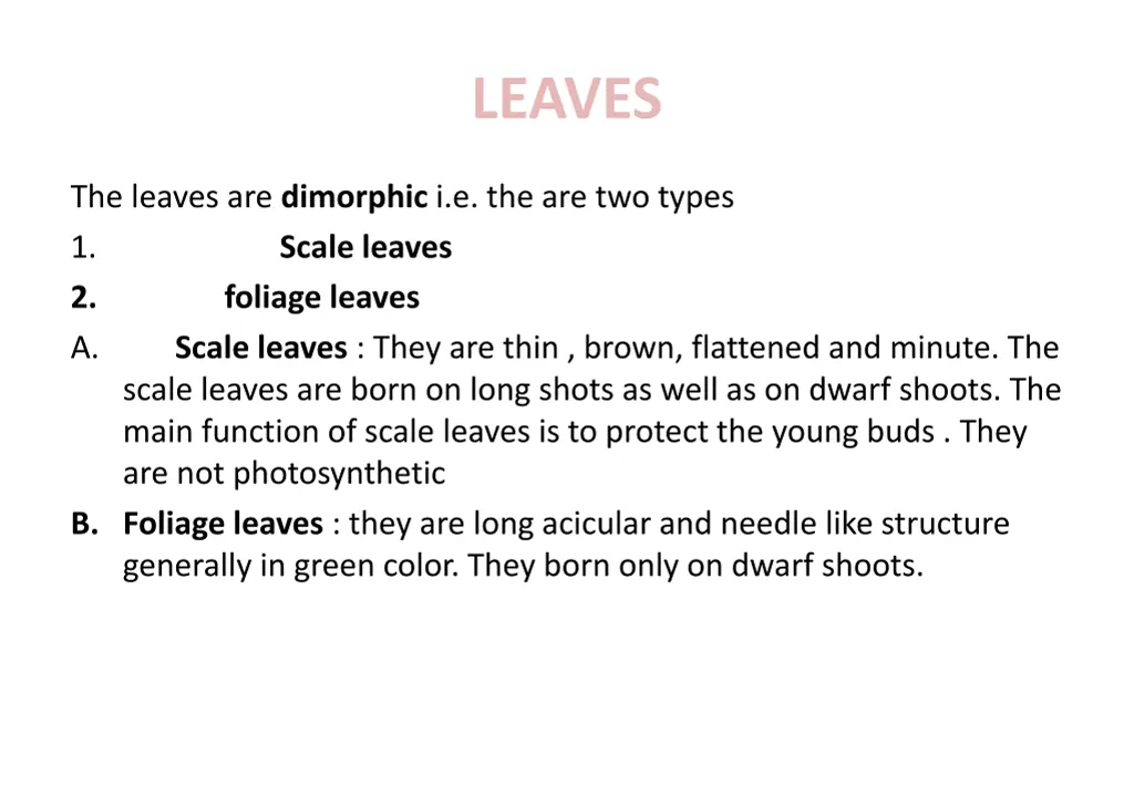 leaves