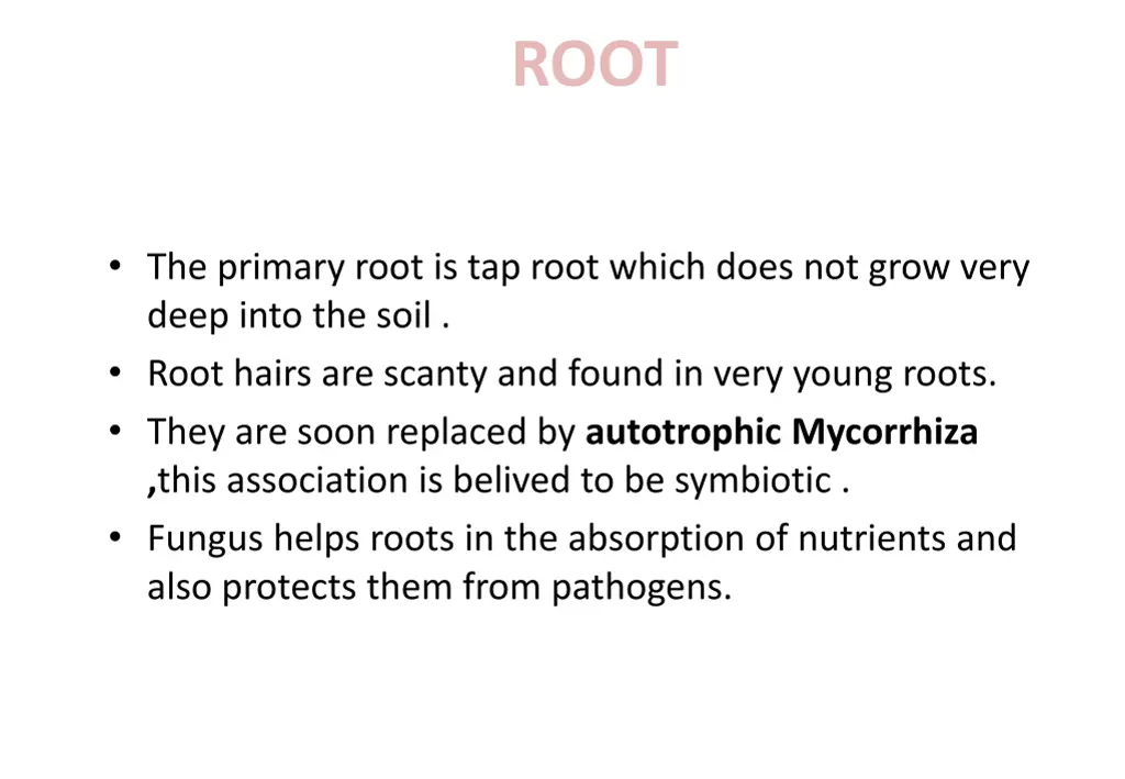 slide5