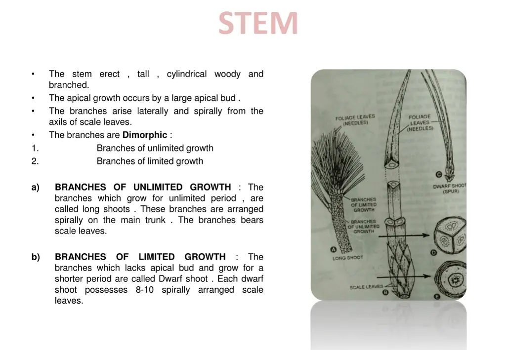 slide6