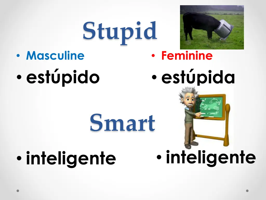 stupid