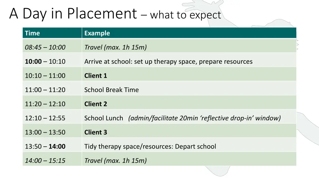 a day in placement what to expect