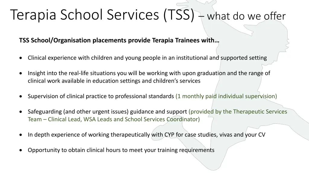terapia school services tss what do we offer