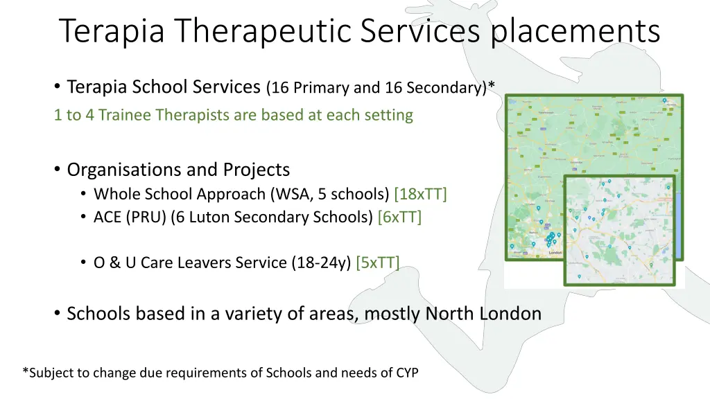 terapia therapeutic services placements