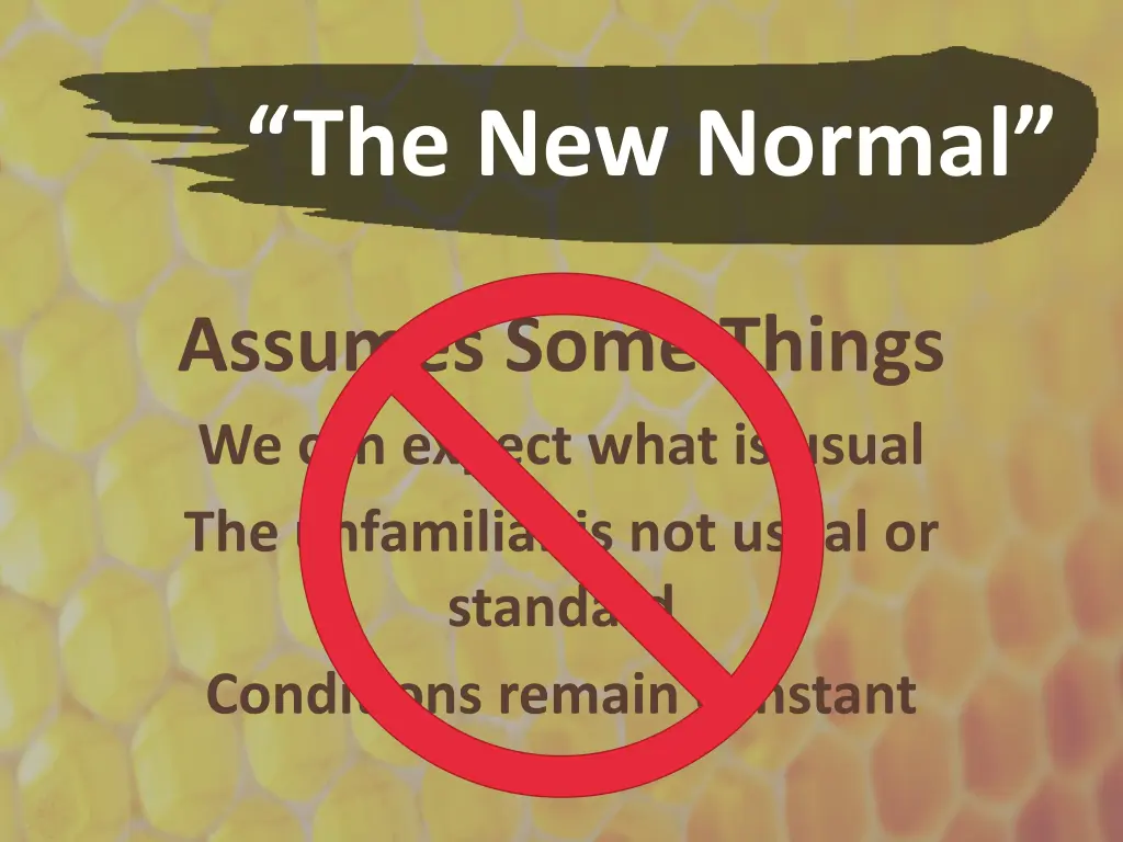 the new normal 3