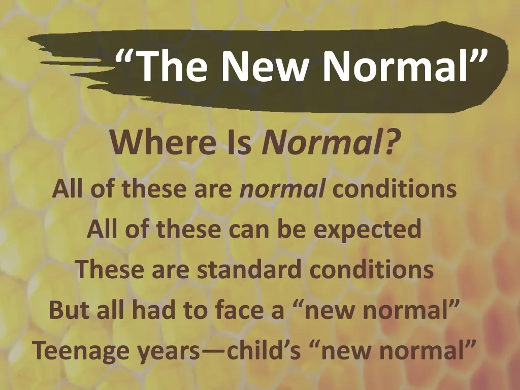 the new normal 5
