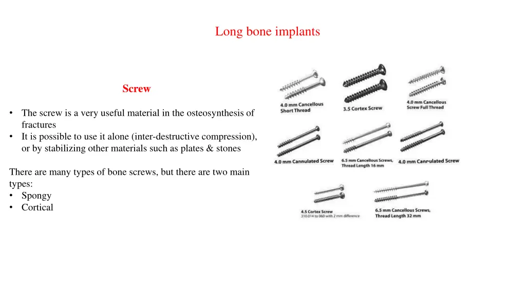 long bone implants 2