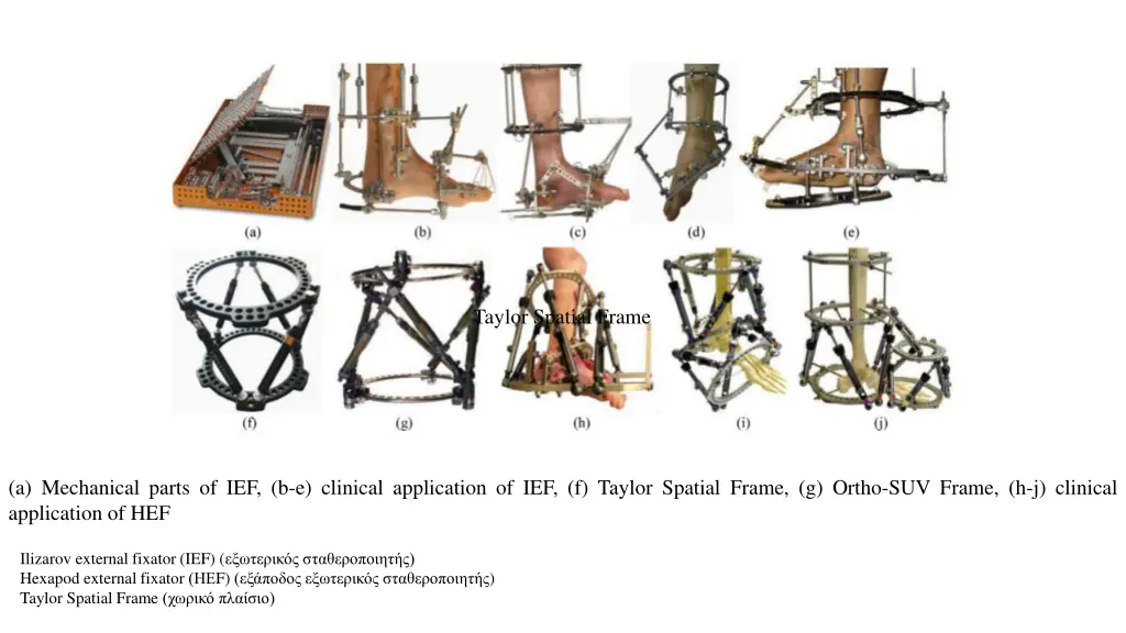 taylor spatial frame