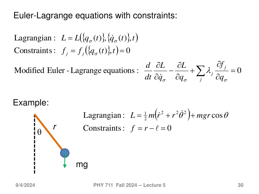 euler lagrange equations with constraints