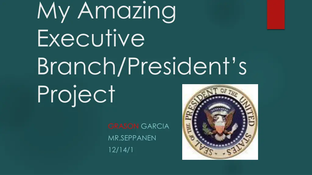 my amazing executive branch president s project