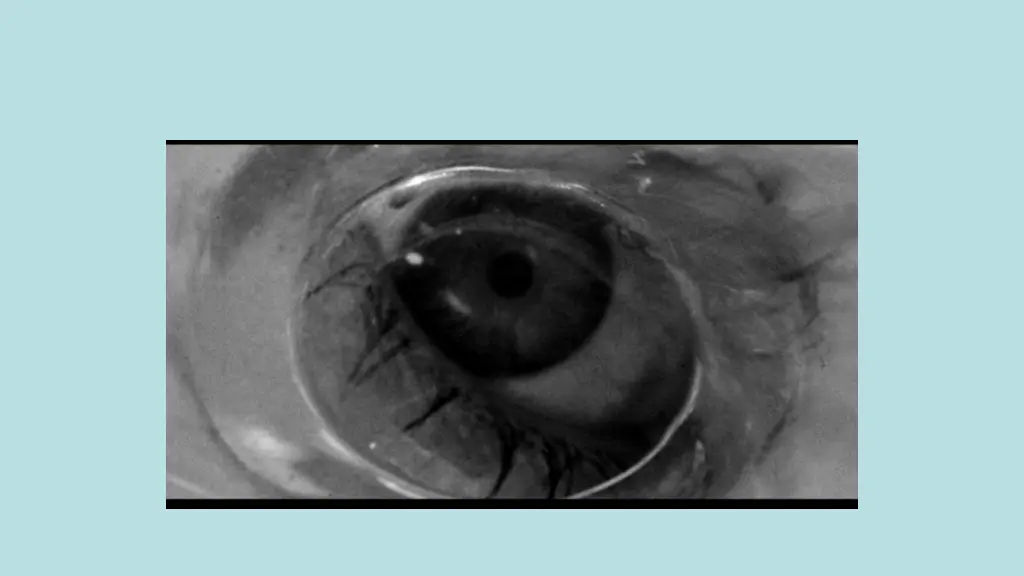 slide10