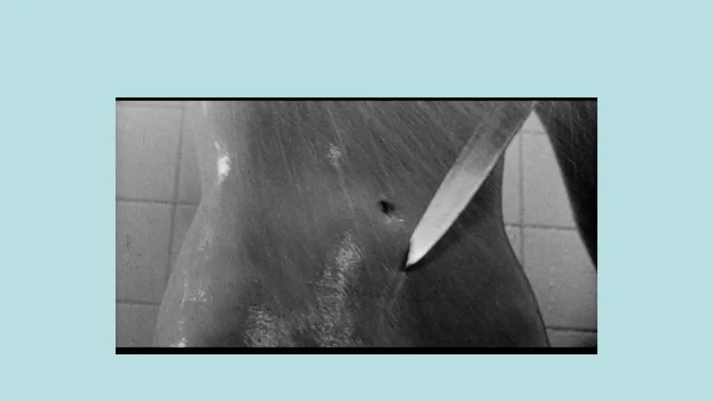 slide11