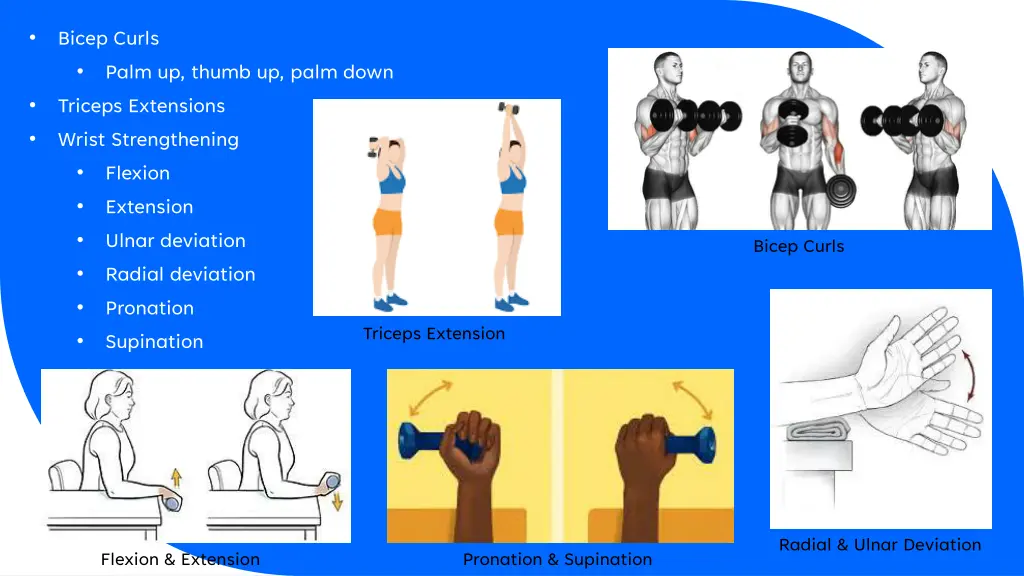 bicep curls palm up thumb up palm down triceps