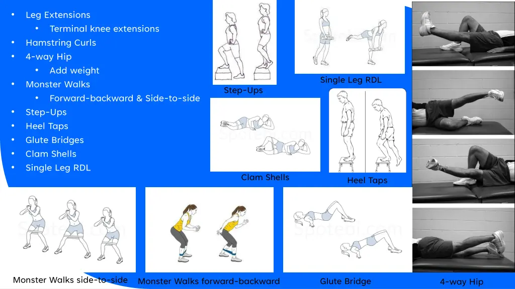 leg extensions terminal knee extensions hamstring
