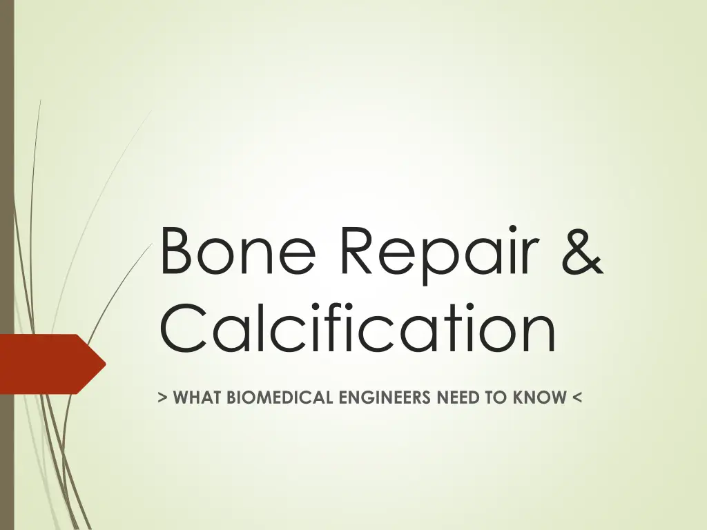 bone repair calcification