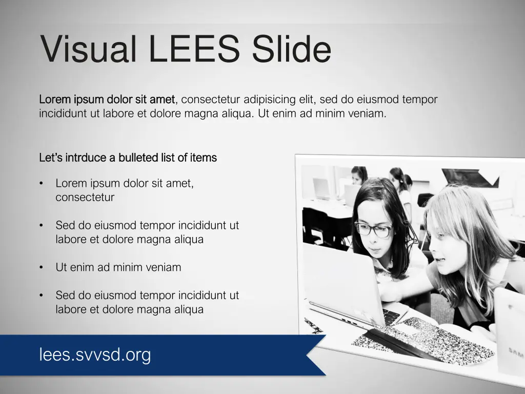 visual lees slide