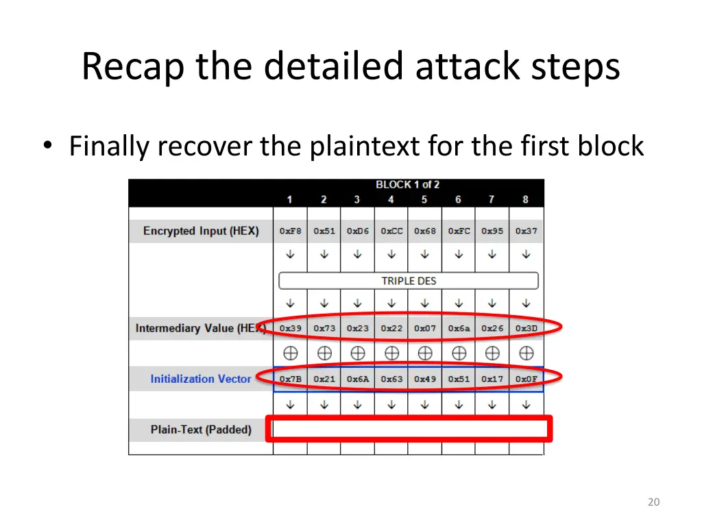 recap the detailed attack steps