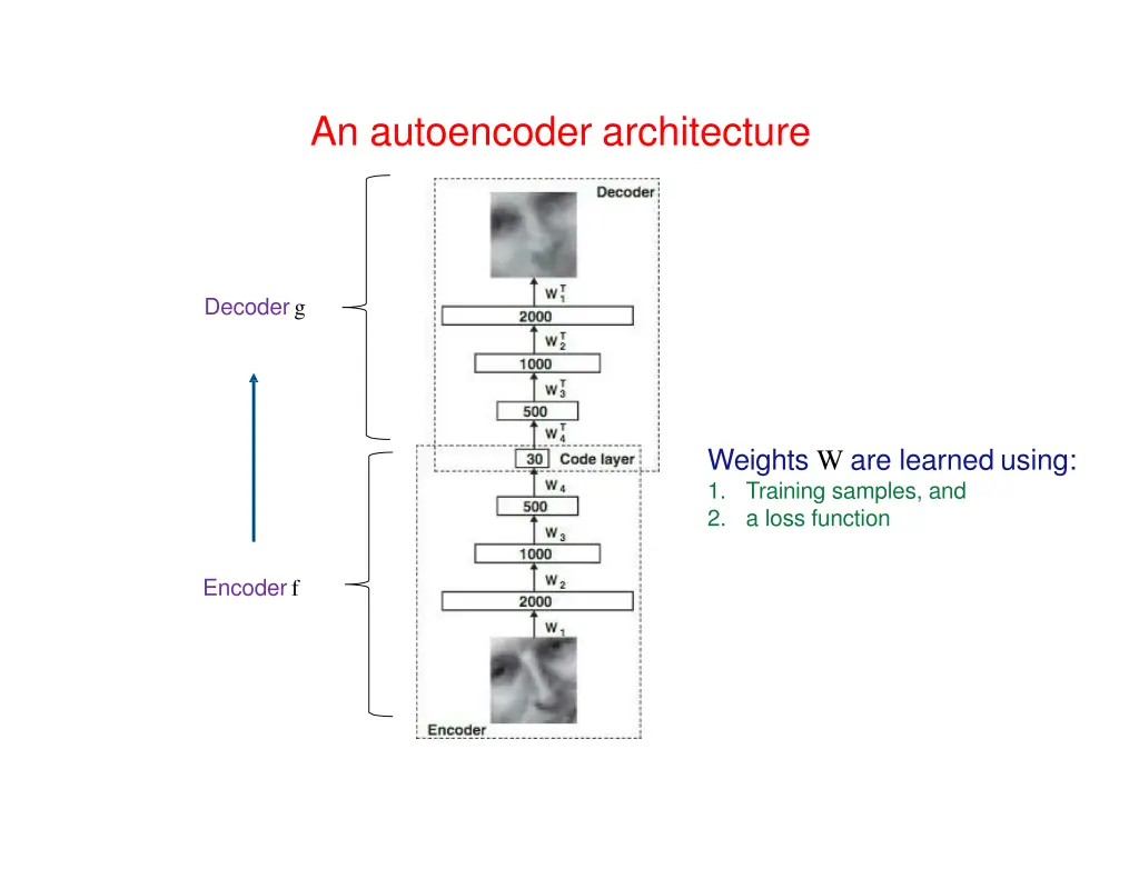 an autoencoder architecture