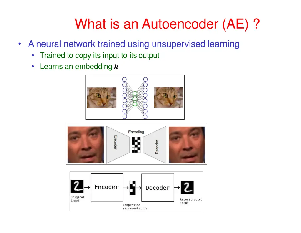 what is an autoencoder ae