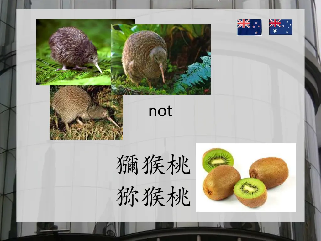 slide4