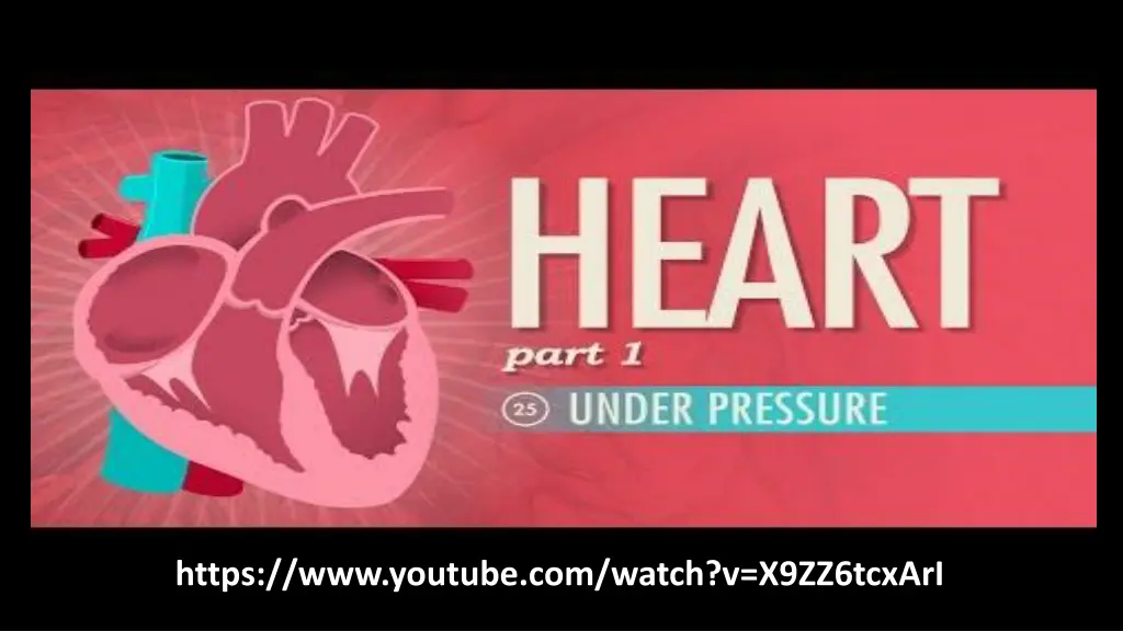 https www youtube com watch v x9zz6tcxari